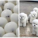 영통떡집 이미지