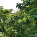 질재로 4 이미지