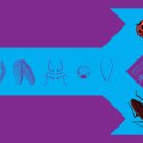 다람쥐디자인 티스토리