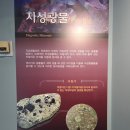 해남공룡박물관 | 해남 공룡 박물관 다녀온 후기