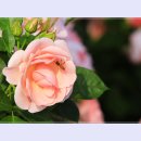 곡성-073 이미지