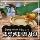 조류생태전시관 | 충남 서천 조류생태전시관 아기랑 실내 가볼만한 곳