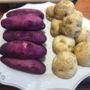 데일리스튜디오 이미지