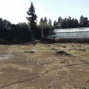 창민농장 이미지