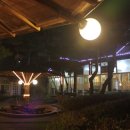 이다의숲 이미지