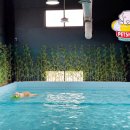 Petshill (펫츠힐) 이미지