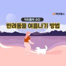 [닥터들의 수다] 반려동물 여름나기 꿀팁