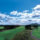 서귀포산업 주식회사 이미지