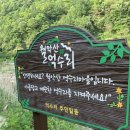 억수리마을캠핑장 네이버블로그