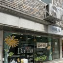 카페 다알리아 | 구산동 그릭요거트 맛집 카페 다알리아 추천