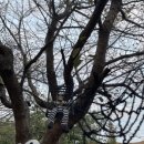 설뫼충효테마파크 캠핑장 이미지