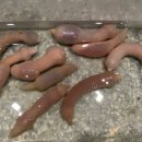 보물섬모텔 이미지