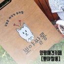 덕배쌀롱 | 서울근교애견카페추천 [뽀야쌀롱]