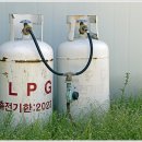 진도엘피지 이미지