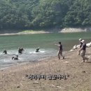 머리부터발끝까지