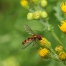 호텔AROZO 이미지