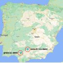 로사 태양광발전소 이미지