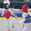 라이온즈 부부 태권도장 이미지