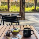 곰식's 카페(by 커피나무) | 양재 아사이볼 브런치 맛집 행운간 양재천 테라스 카페