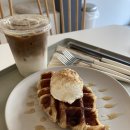 브라운필(Brownpill)