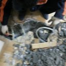 창동경로당 이미지