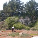 청산별곡 이미지