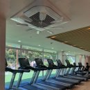 스테이짐 오라점 이미지