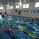 배방파인트리수영장 이미지