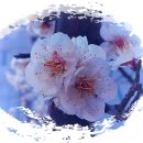 청암공원 이미지