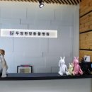 덕수동물병원 이미지