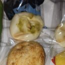 [내돈내산] 강릉 빵집 정남미명과 본점 구황작물빵 전제품 &amp; 강릉중앙시장 배니닭강정 솔직후기