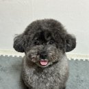 머뭉공간 이미지