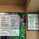 곤드레나물집