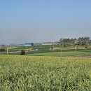 용동마을 이미지