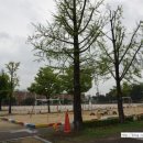 풍남초등학교병설유치원 이미지