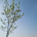 극락둑길 이미지