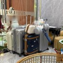 파파야 | [나트랑/스파] 시내 마사지샵 파파야스파 2번 다녀온 내돈내산 후기 + 공항샌딩