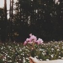 대연 힐스테이트푸르지오 이미지