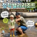 이디야커피남양주마석초등학교점 | 남양주 청학밸리리조트 아이와 계곡 물놀이 추천! 다리 밑 명당 자리 주차 꿀팁