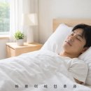 안락역 네이버블로그