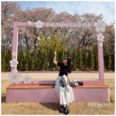 서울나들공원 화장실 | 부천 아이와 가볼만한곳 부천 도당공원 벚꽃축제 벚꽃 엔딩