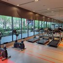 U모텔 | 치앙마이 유님만 (U 님만) 호텔 내돈내산 솔직 후기!