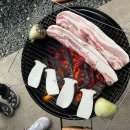 파도마을 삼냥이네 이미지