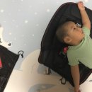 (주)파파홀릭