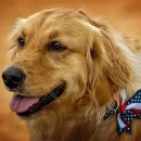 소래동물병원 이미지