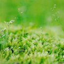 대지-생명 이미지