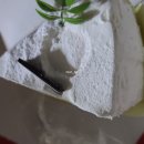 뛰뛰하개 이미지