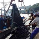 안포마을 이미지