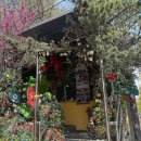 동아냉면 | [이태원 맛집] 냉면 어디 갈지 고민이라면? 동아냉면 후기 (+만두)