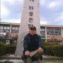 대아초등학교 이미지